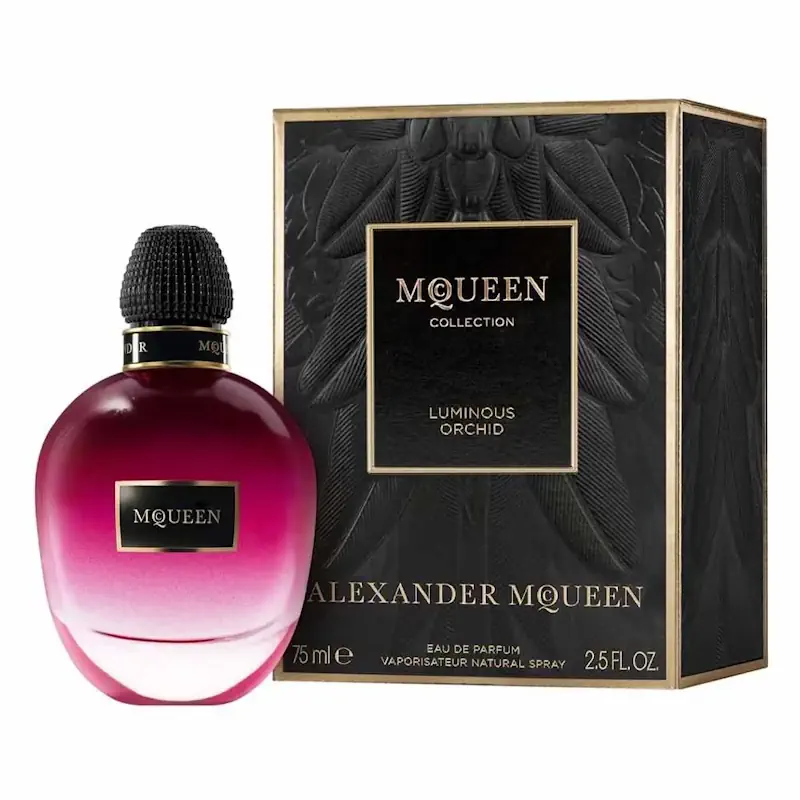 Alexander McQueen sunglasses and eyeglasses